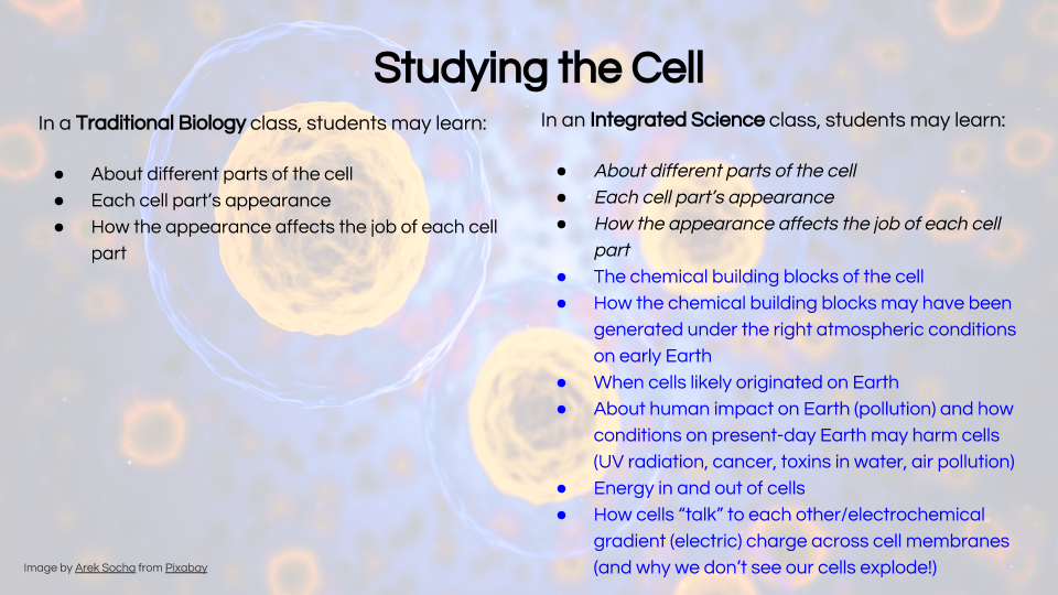 studying the cell