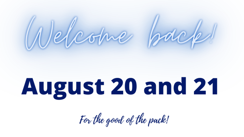 Welcome Back