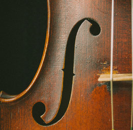 violin