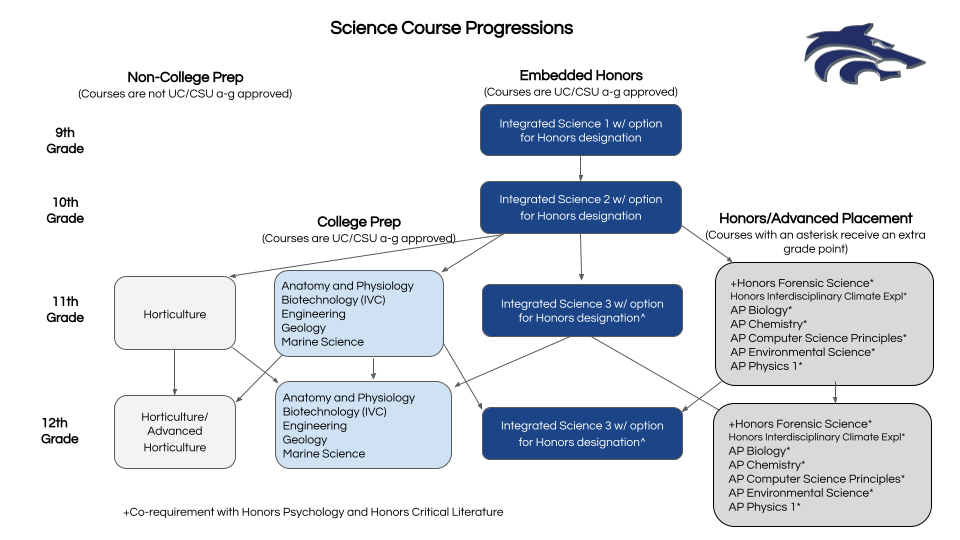 course progression